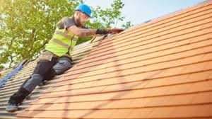 Best Roof Moss and Algae Removal  in Woodbury, TN