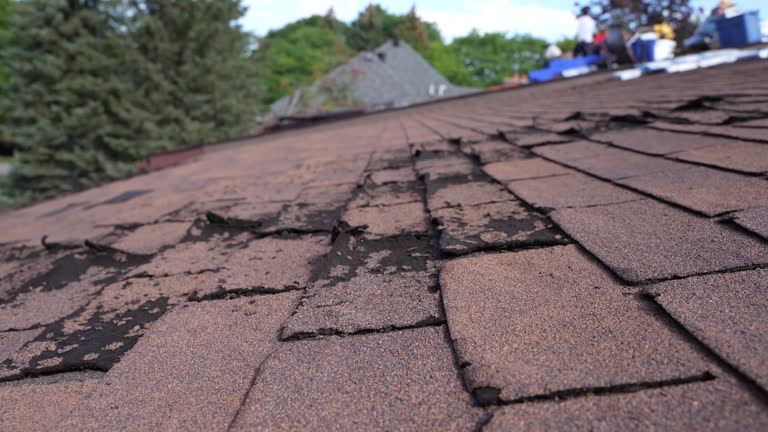 Professional Roofing Service in Woodbury, TN