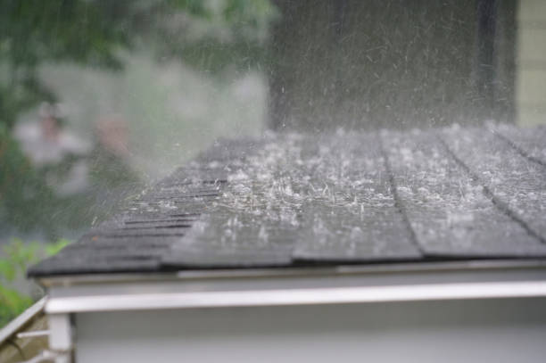 Best Roof Coating and Sealing  in Woodbury, TN